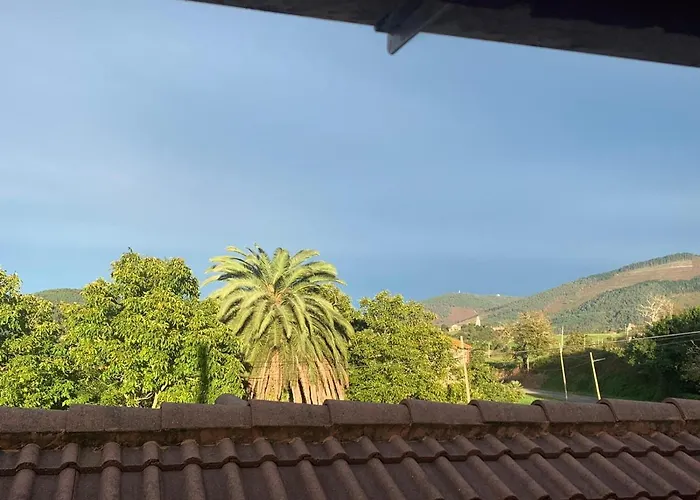 El Desvan Del Chisco