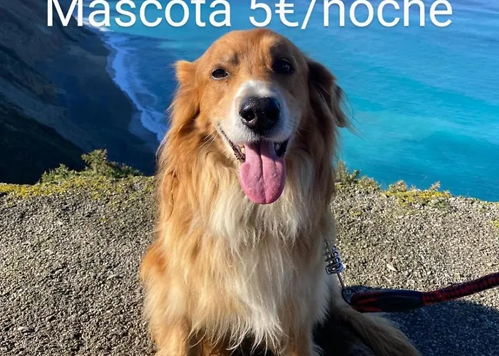 El Desvan Del Chisco