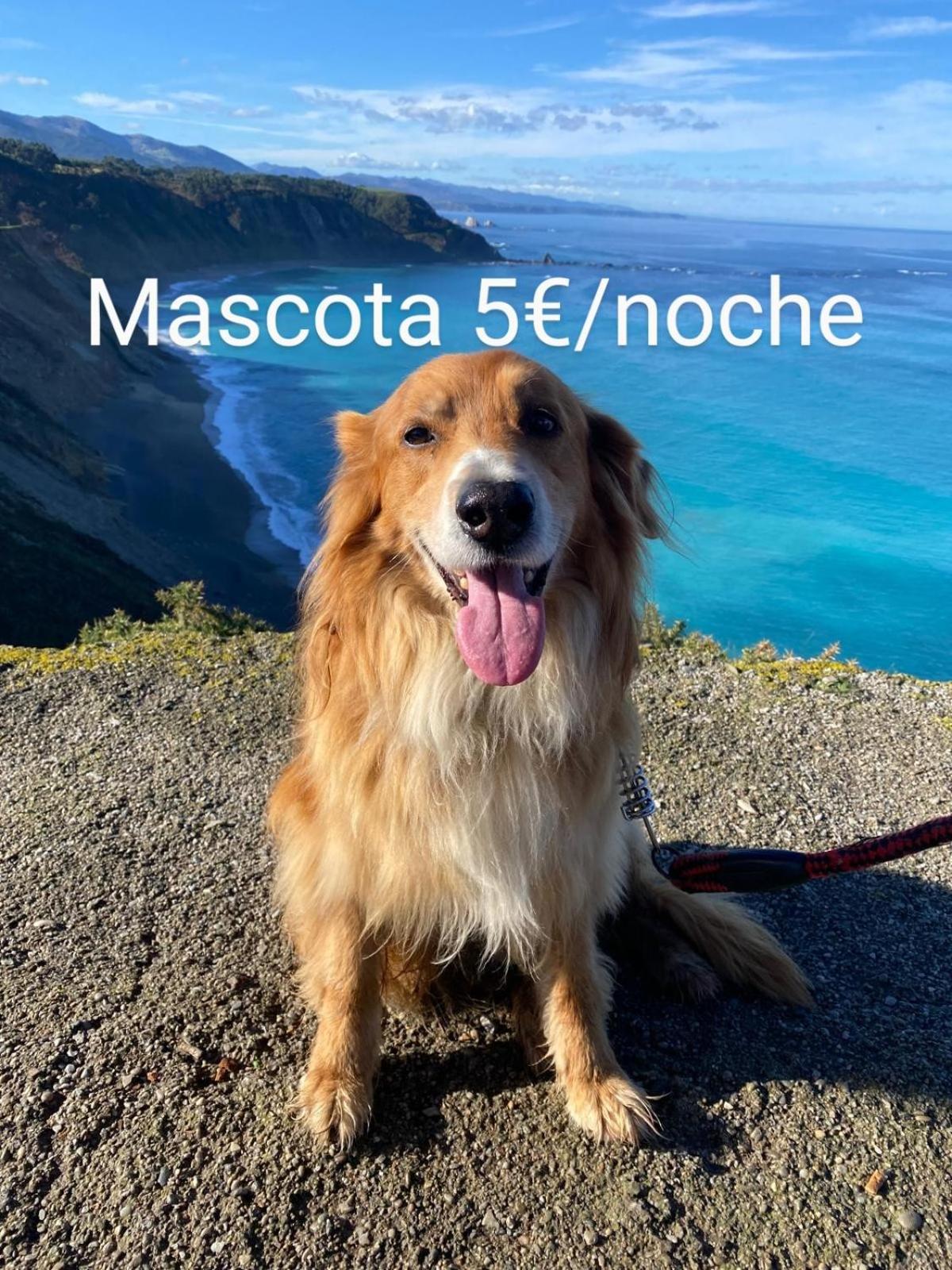 El Desvan Del Chisco